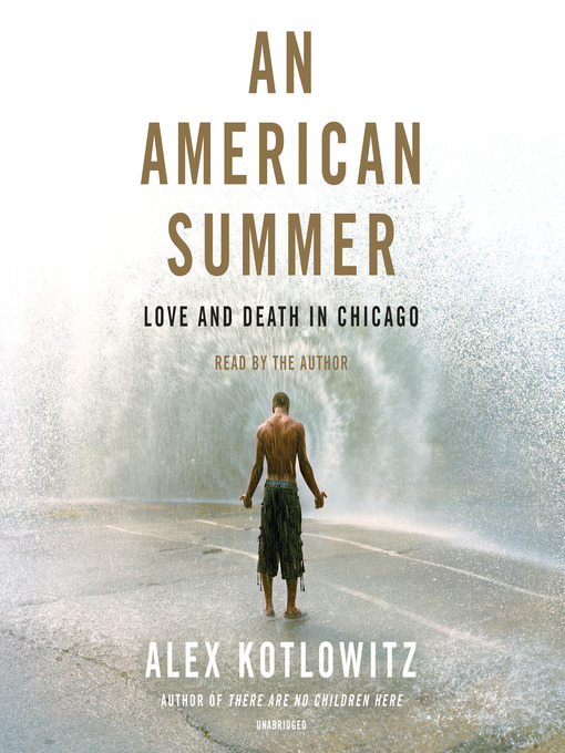 Cover image for An American Summer